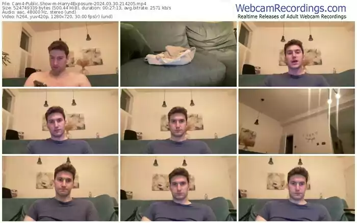 cam4-harry4exposure-03-30-2024-21-42-05