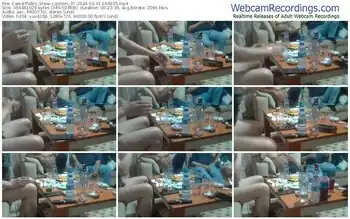 cam4-pollen_07-03-31-2024-16-49-35