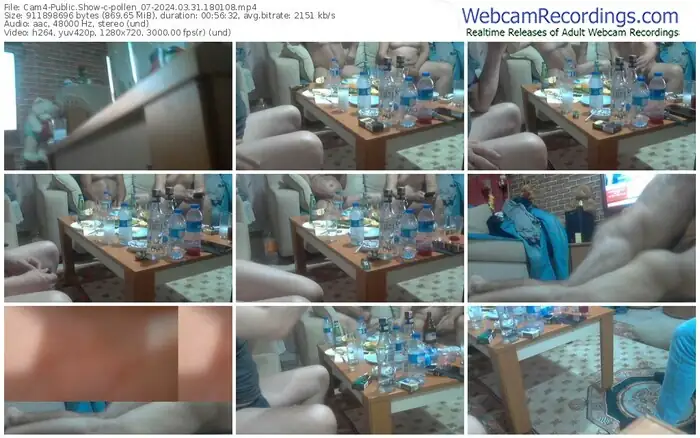 cam4-pollen_07-03-31-2024-18-01-08