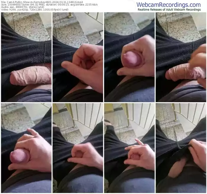 cam4-hornyboy4821-03-31-2024-13-49-16