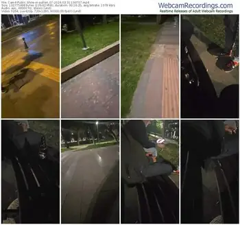 cam4-pollen_07-03-31-2024-19-07-07