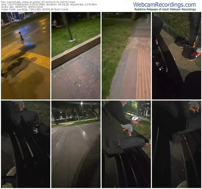cam4-pollen_07-03-31-2024-19-07-07
