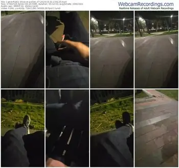 cam4-pollen_07-03-31-2024-19-41-20