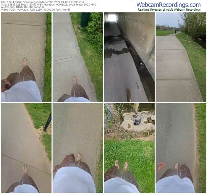 cam4-goodnitehero88-04-01-2024-22-30-35