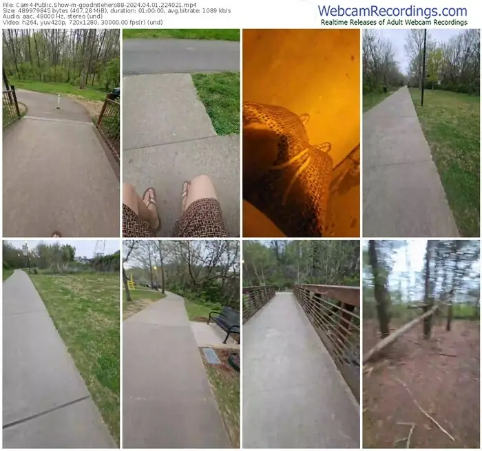 cam4-goodnitehero88-04-01-2024-22-40-21