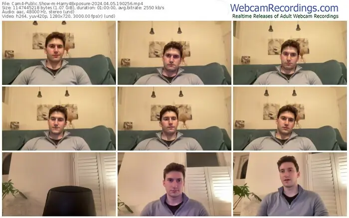 cam4-harry4exposure-04-05-2024-19-02-56
