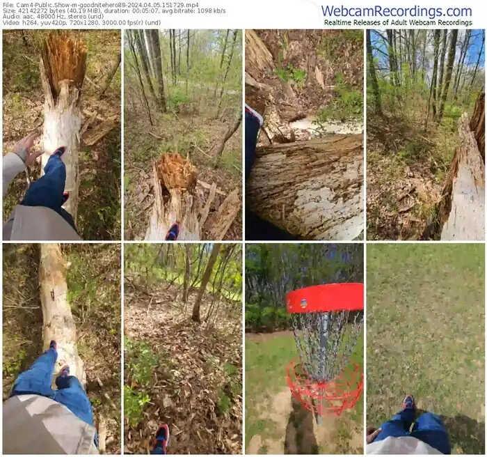 cam4-goodnitehero88-04-05-2024-15-17-29