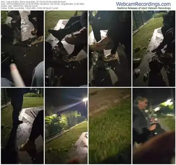 cam4-pollen_07-04-06-2024-18-44-35