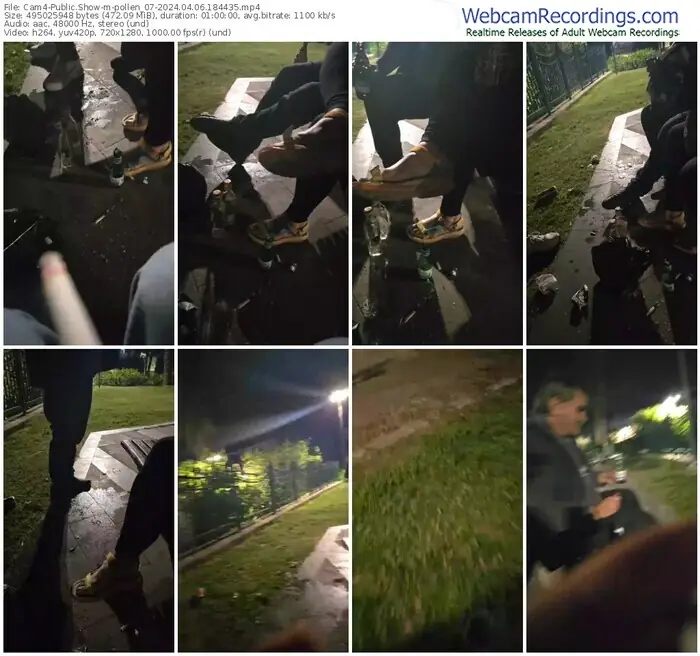 cam4-pollen_07-04-06-2024-18-44-35