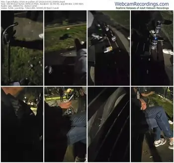 cam4-pollen_07-04-06-2024-19-44-54