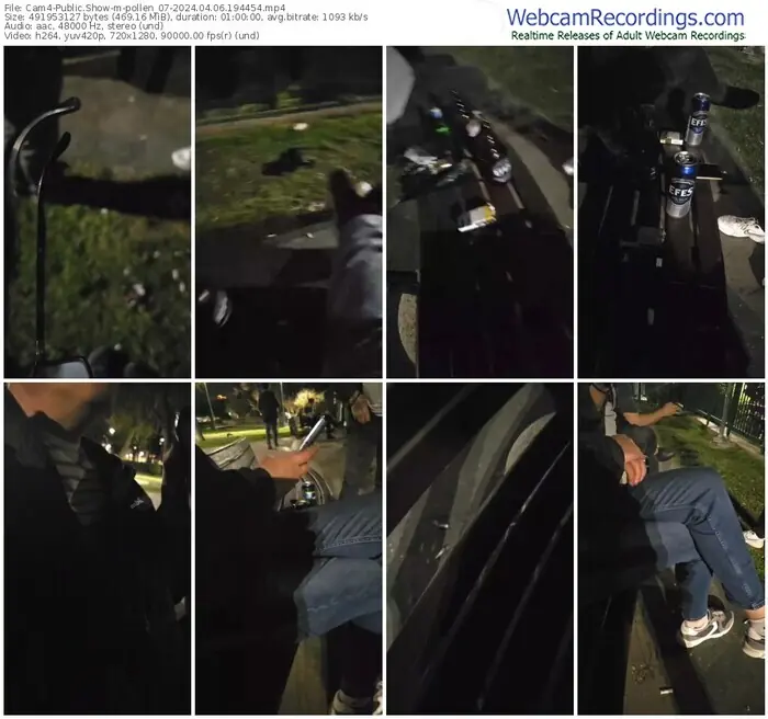 cam4-pollen_07-04-06-2024-19-44-54