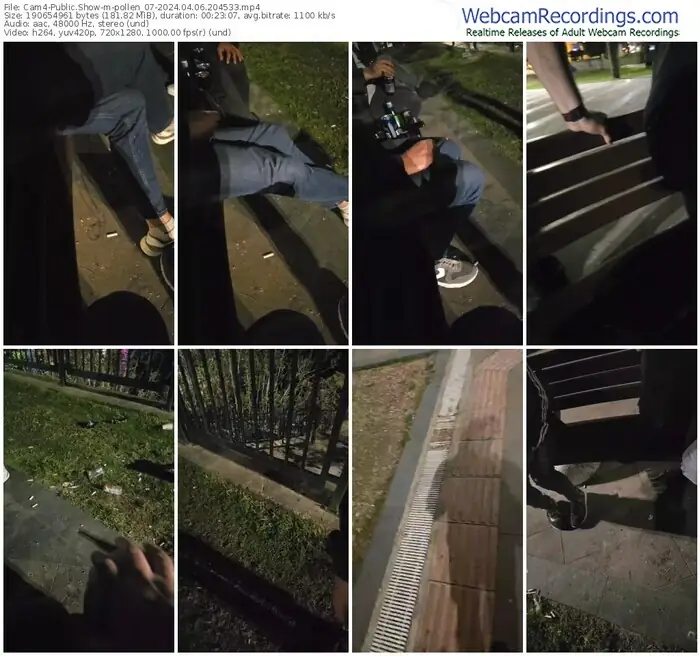cam4-pollen_07-04-06-2024-20-45-33