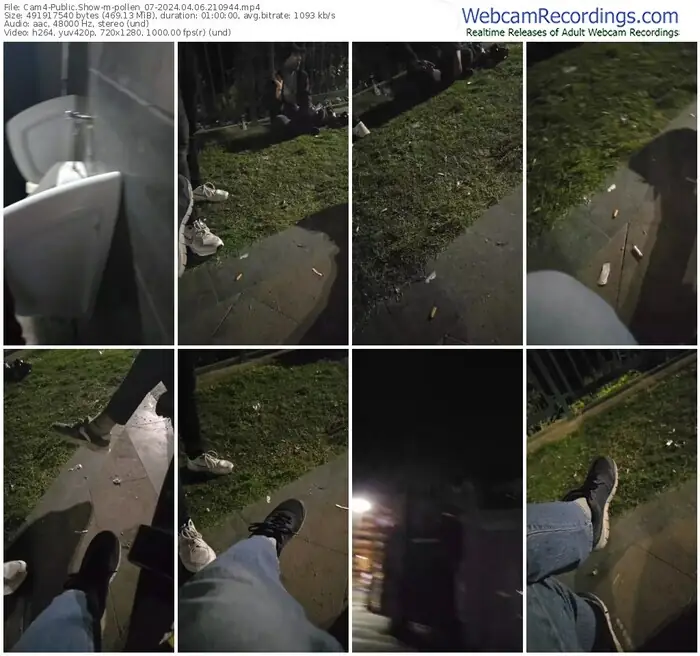 cam4-pollen_07-04-06-2024-21-09-44