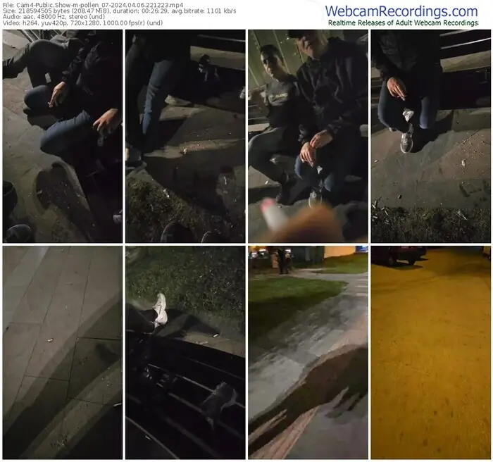 cam4-pollen_07-04-06-2024-22-12-23