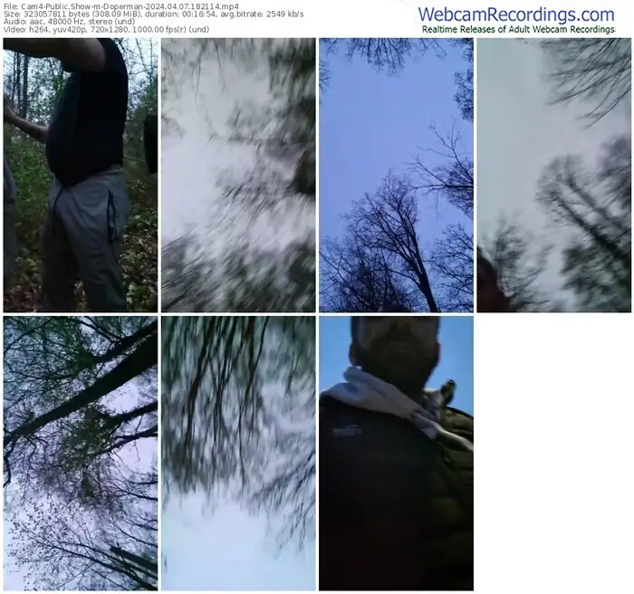 cam4-doperman-04-07-2024-18-21-14