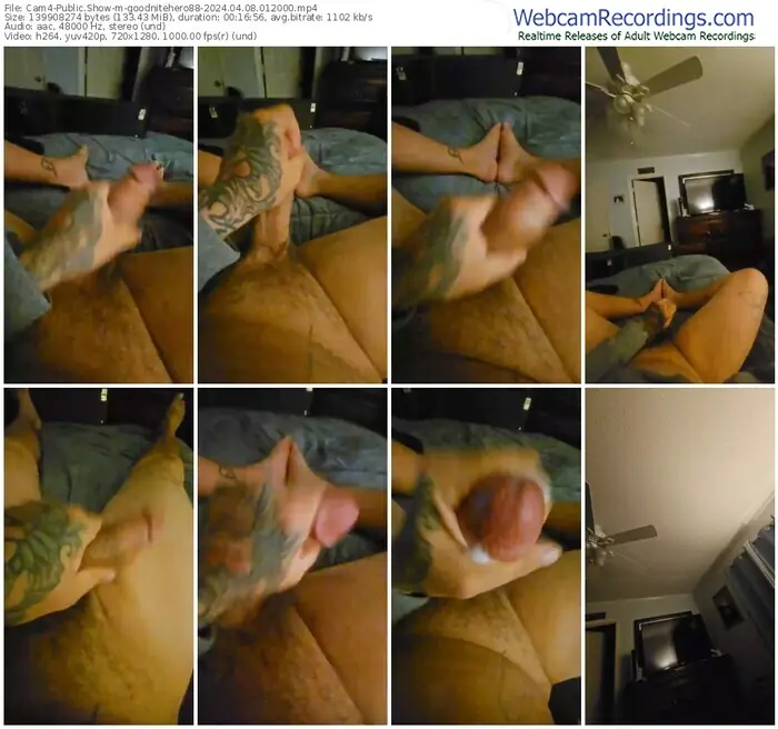 cam4-goodnitehero88-04-08-2024-01-20-00