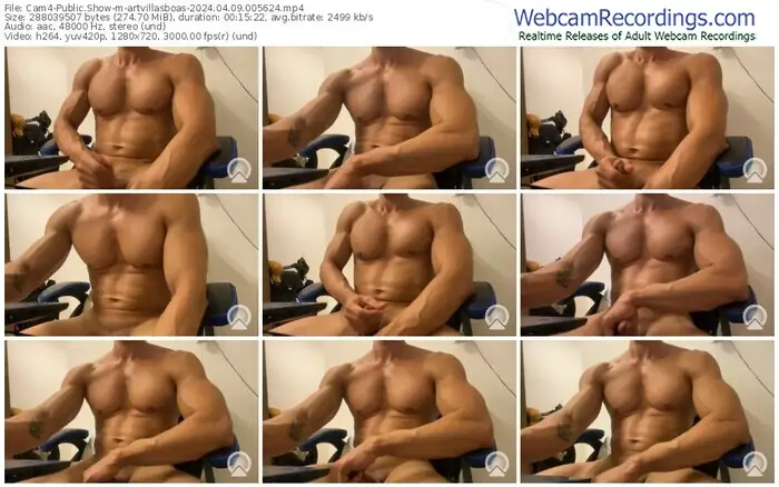 cam4-artvillasboas-04-09-2024-00-56-24