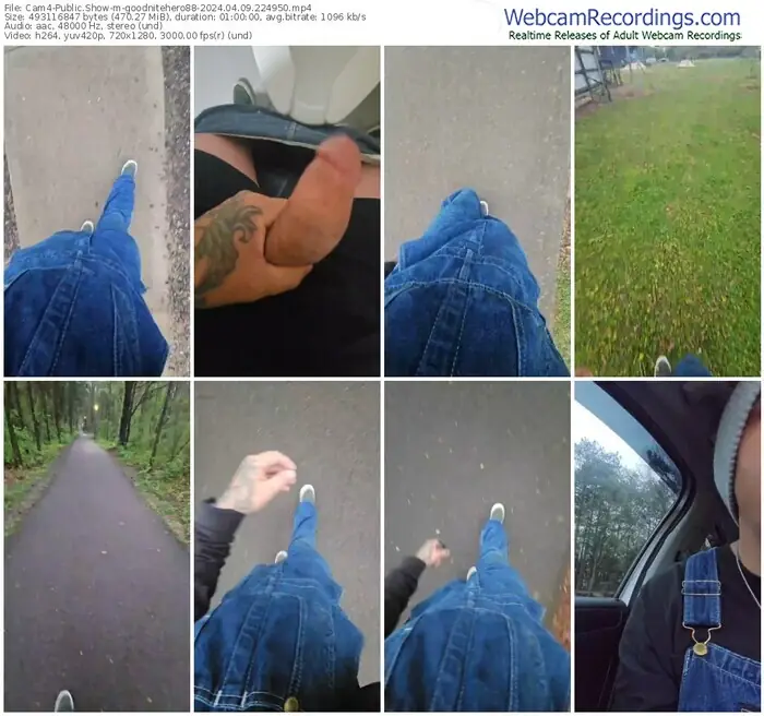 cam4-goodnitehero88-04-09-2024-22-49-50