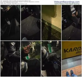 cam4-pollen_07-04-10-2024-18-41-41