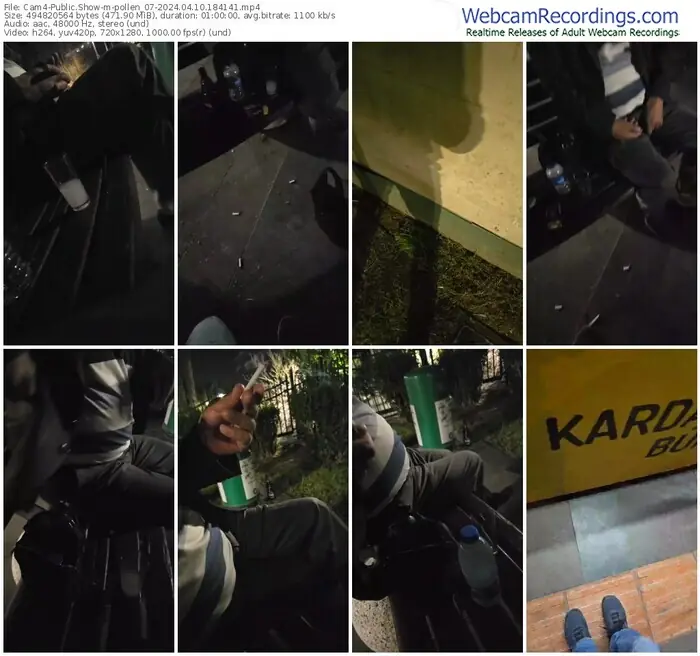 cam4-pollen_07-04-10-2024-18-41-41