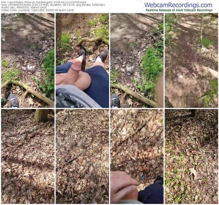 cam4-outdoorgeil1-04-12-2024-12-37-58