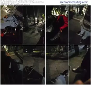 cam4-pollen_07-04-12-2024-19-38-30