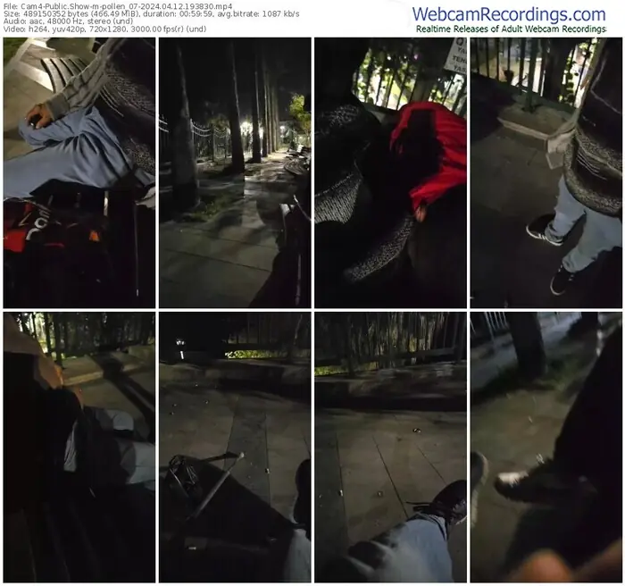 cam4-pollen_07-04-12-2024-19-38-30