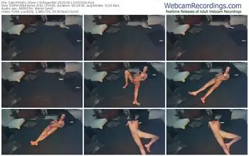 cam4-schagennh-04-13-2024-00-15-00