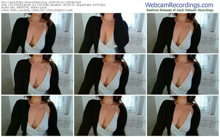 cam4-dinicchia_-04-13-2024-12-45-39