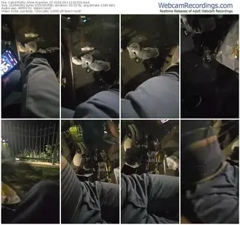 cam4-pollen_07-04-13-2024-19-13-54