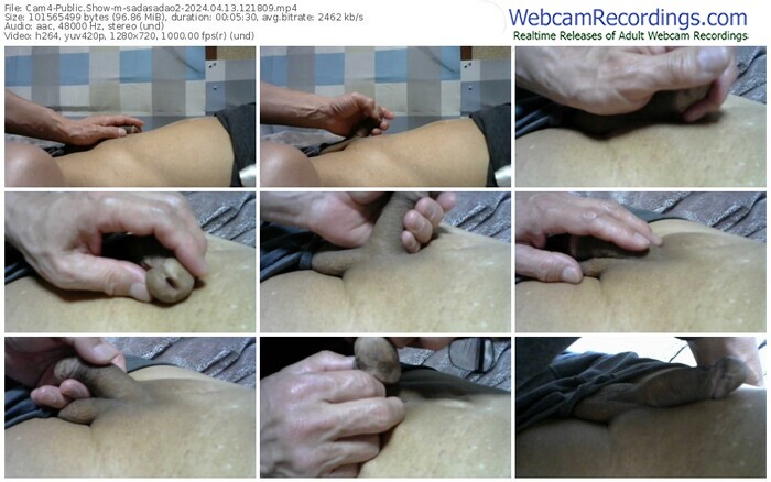 cam4-sadasadao2-04-13-2024-12-18-09