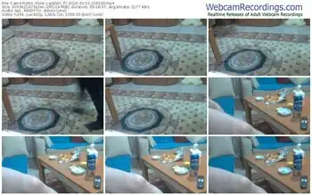 cam4-pollen_07-04-15-2024-20-43-39