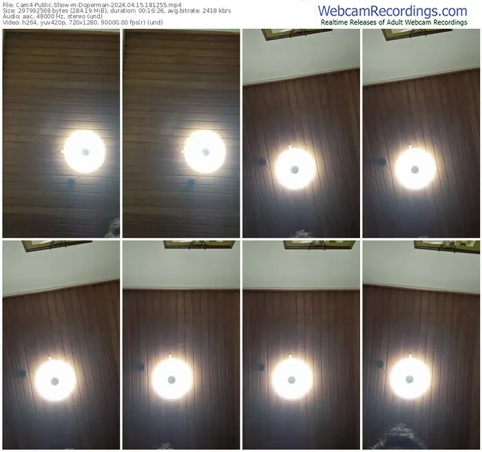 cam4-doperman-04-15-2024-18-12-55