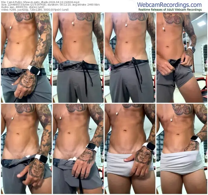 cam4-gato_dtado-04-16-2024-19-26-06