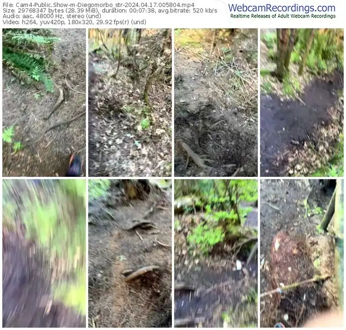 cam4-diegomorbo_str-04-17-2024-00-58-04