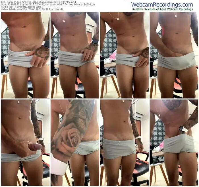 cam4-gato_dtado-04-17-2024-03-57-15