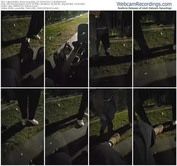 cam4-pollen_07-04-17-2024-19-18-58