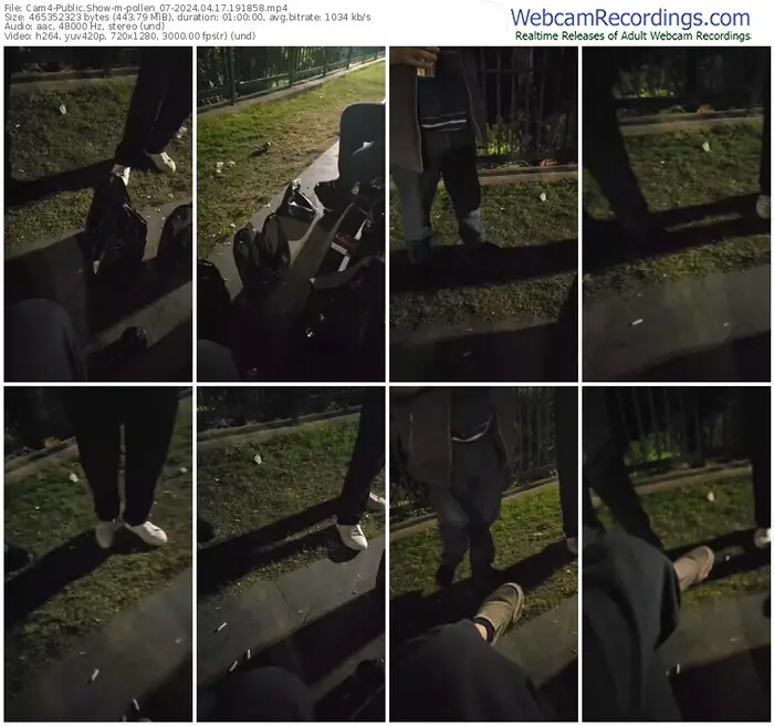 cam4-pollen_07-04-17-2024-19-18-58