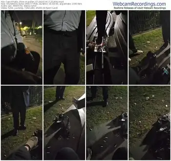 cam4-pollen_07-04-17-2024-20-26-42