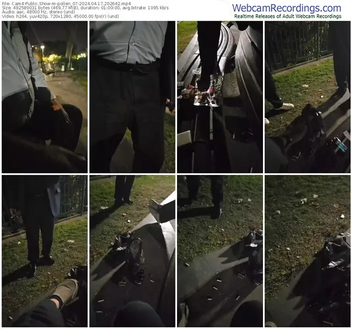 cam4-pollen_07-04-17-2024-20-26-42