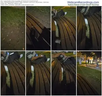 cam4-pollen_07-04-17-2024-21-47-16