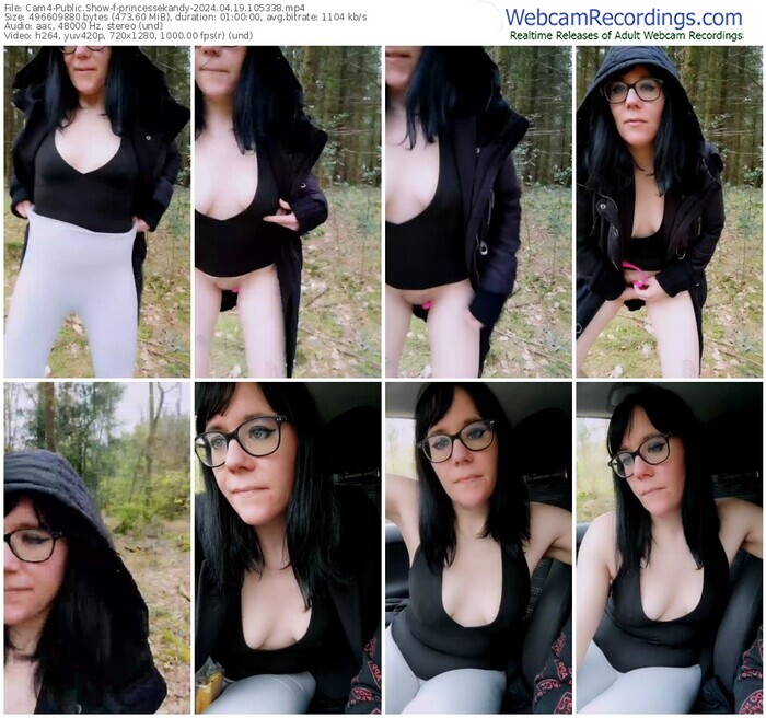 cam4-princessekandy-04-19-2024-10-53-38