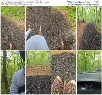 cam4-goodnitehero88-04-19-2024-17-33-21