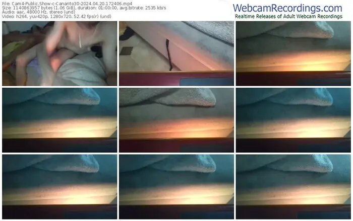 cam4-canarito30-04-20-2024-17-24-06