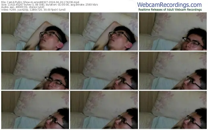 cam4-aries88327-04-20-2024-17-42-36