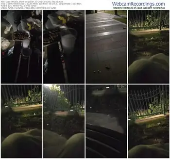 cam4-pollen_07-04-20-2024-17-41-20