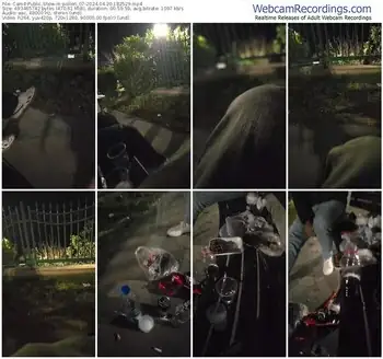 cam4-pollen_07-04-20-2024-18-25-29