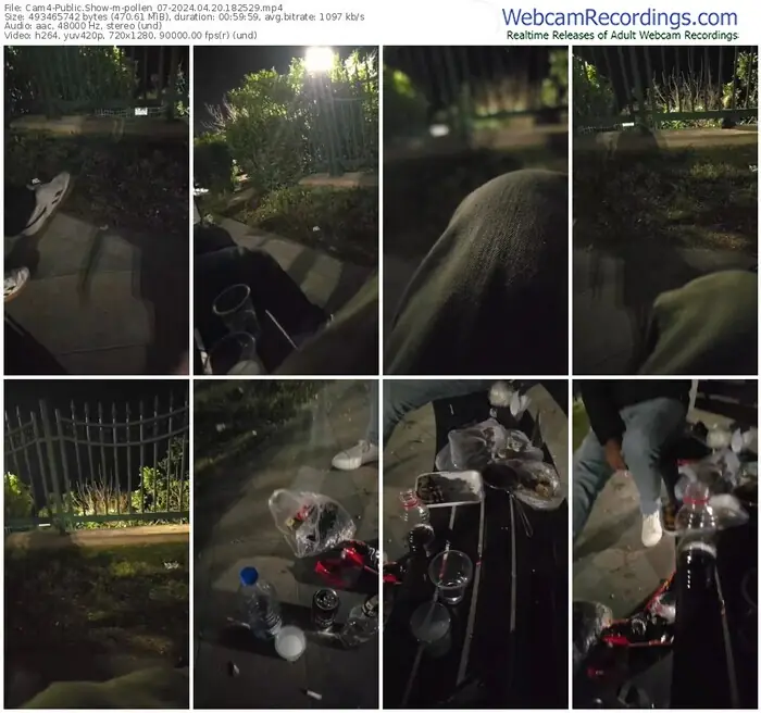 cam4-pollen_07-04-20-2024-18-25-29