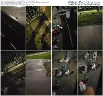 cam4-pollen_07-04-20-2024-19-26-30