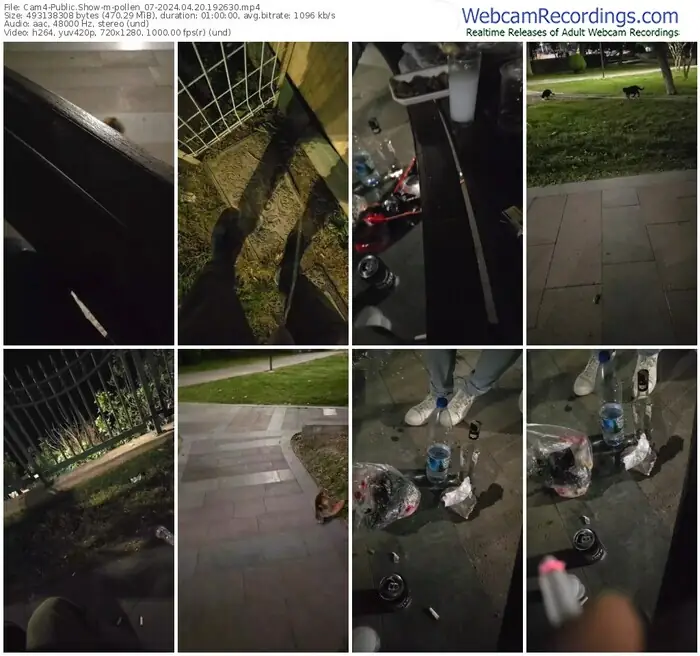 cam4-pollen_07-04-20-2024-19-26-30